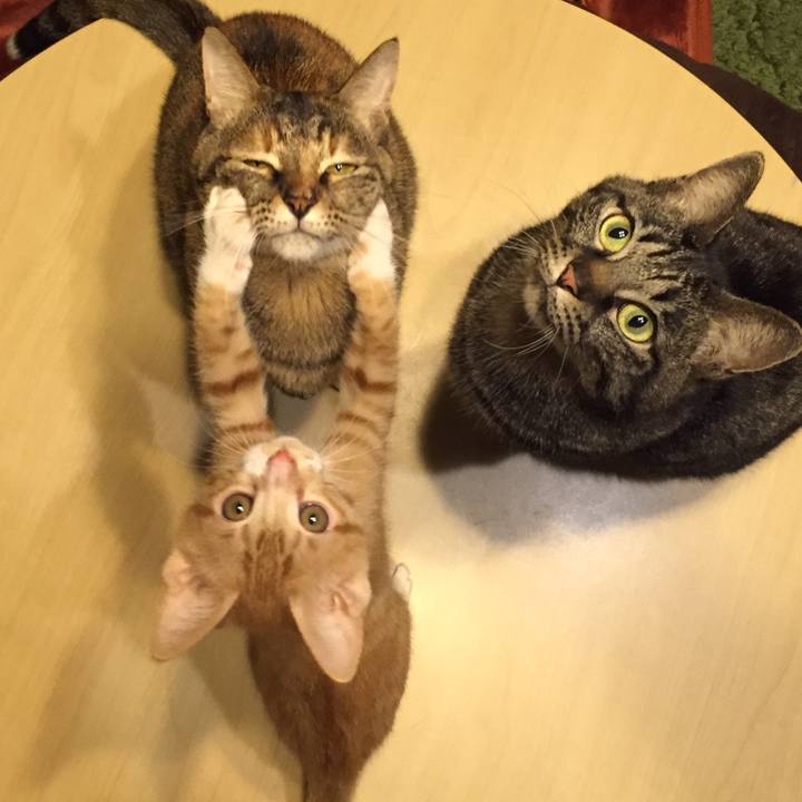 E51356c3 6ab3 488f 8544 04803809b091