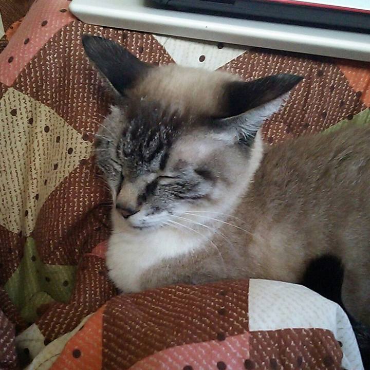 E513c660 f3cc 4225 abd3 ed1432063236