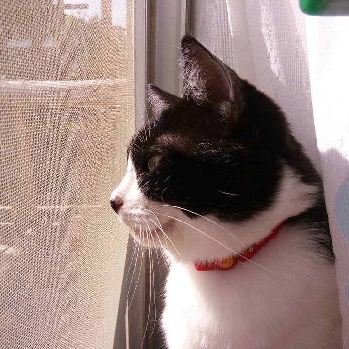 E513d941 5605 483a a286 34969c5c1da2