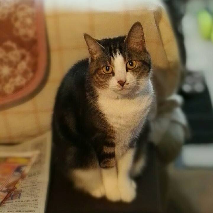 E5140376 7333 4fb7 8665 9939c924387d