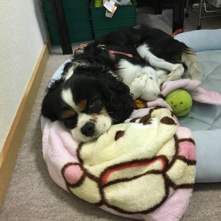 E514303a 56dd 4452 a98d e646c85e4dc5