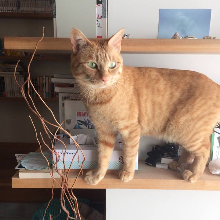 E5144b65 ec4a 4981 aa83 e12d283e7830