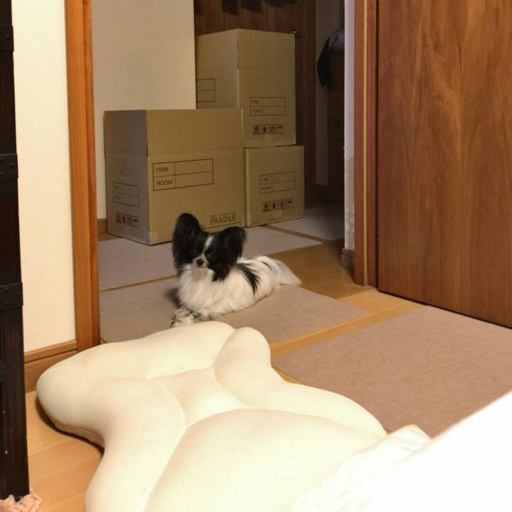 E5144fa9 9df3 4339 945b 54b48c7b9d1b