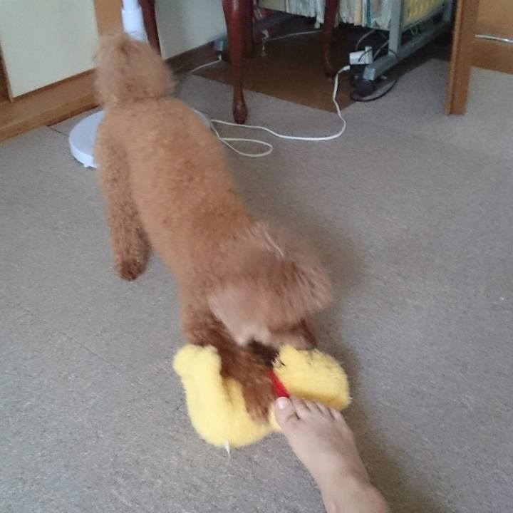 E5147ebb f714 4349 b4cd f0981096fed0