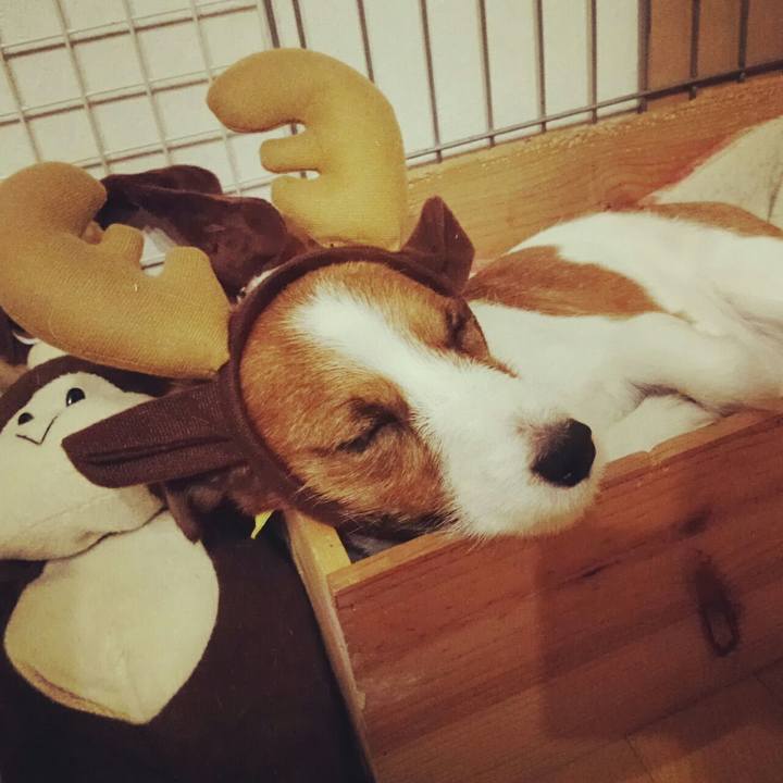 E51608f2 a145 4544 bd0b a74468a30469