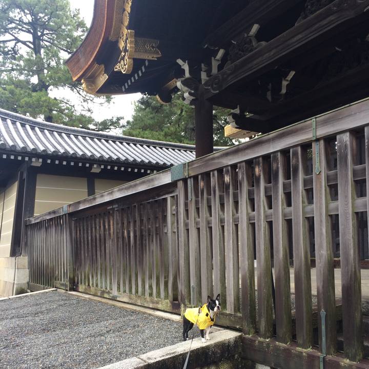 E5160fd0 60b4 4e01 8f25 5470f409e474