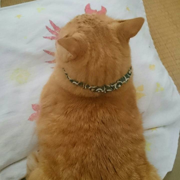 E5169311 35b8 4399 98ad a2eb7fde209a