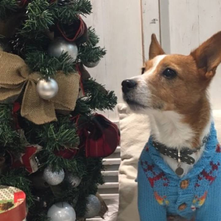 E5169b81 147e 4887 8d60 01f5b2eb76cb