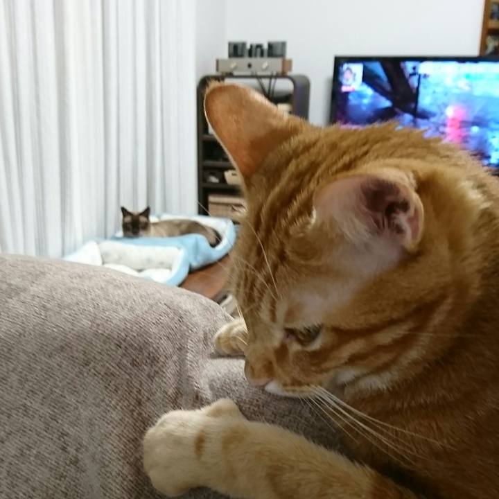 E516a626 a6e6 41dc 82f1 d98d4675436a