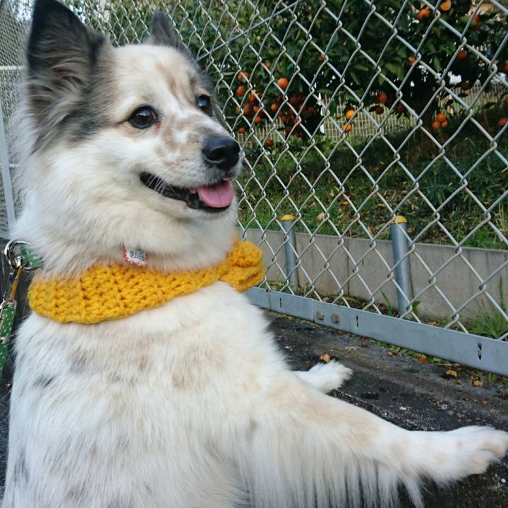 E5179732 90c9 4e68 b218 48823d8a1936