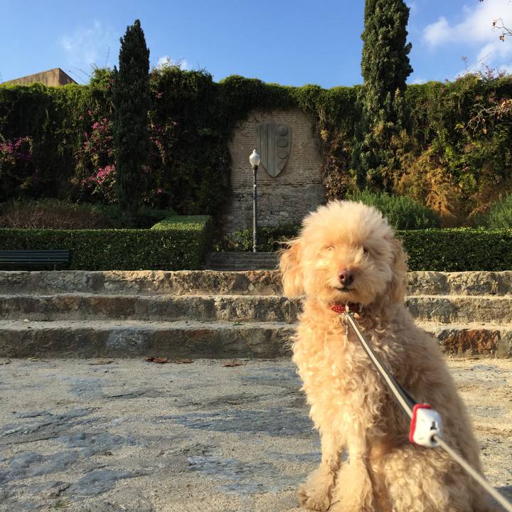 E51799e4 7a10 4ce0 a12e 7aedbb6d641c