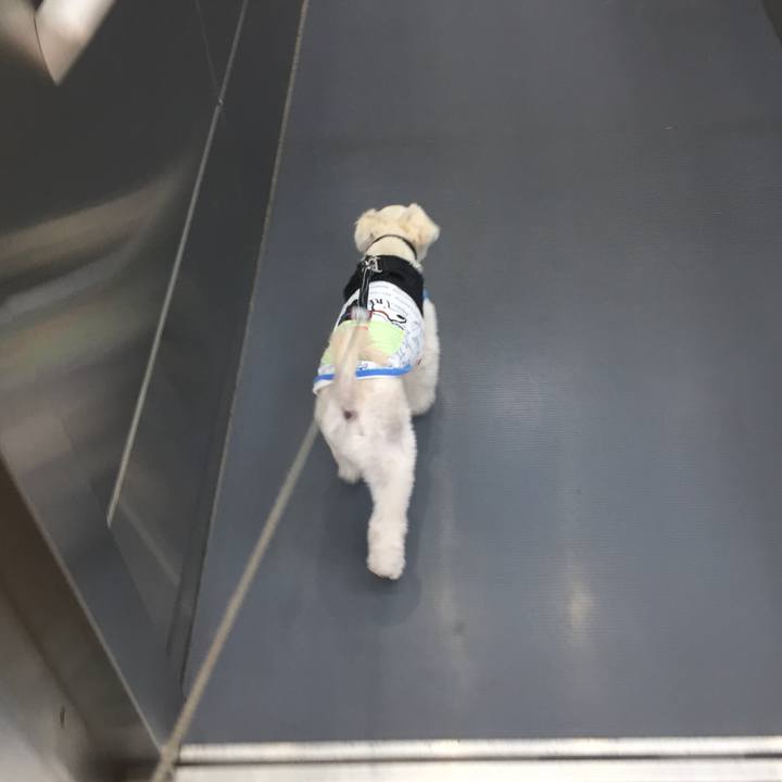 E5185530 983b 4b92 afcc ec84e2197762