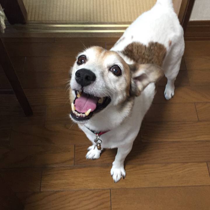 E518cac2 3cd6 4bd5 8146 41c733165d39