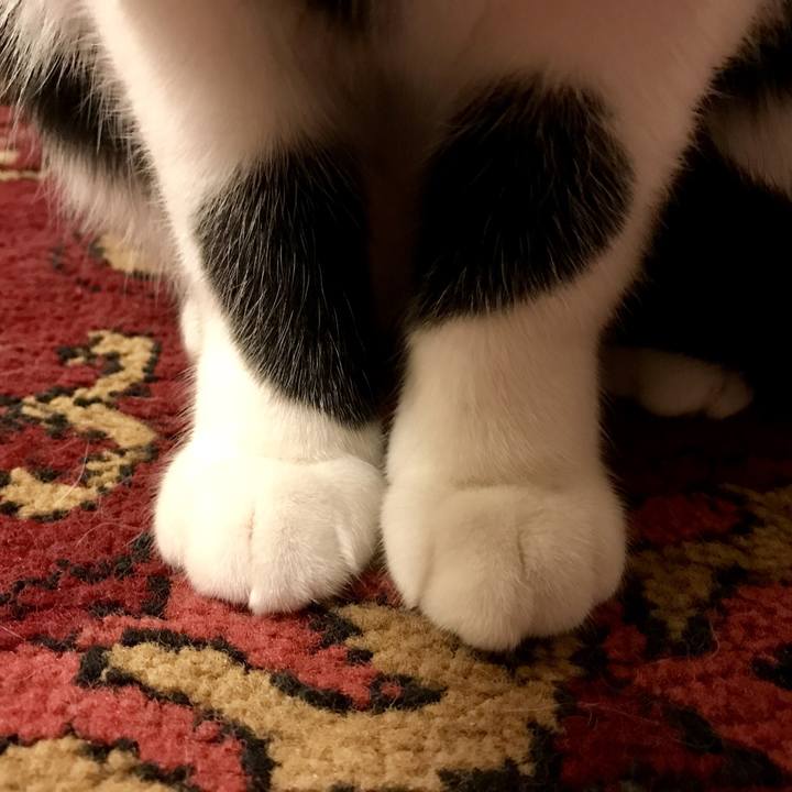 E5191190 663b 4311 aee3 b9dac80cd49c