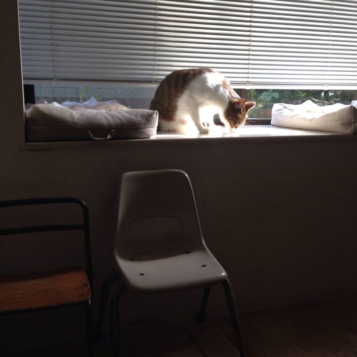 E519832c 678c 42f3 9eac 2b0b945bd578