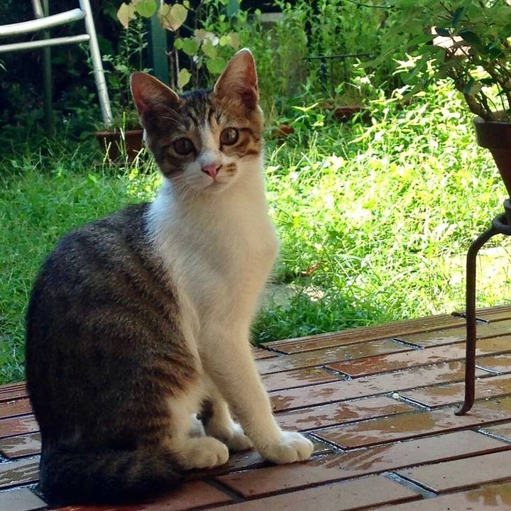 E51a6fc9 dfef 46bc 8a14 c444c878a4f0