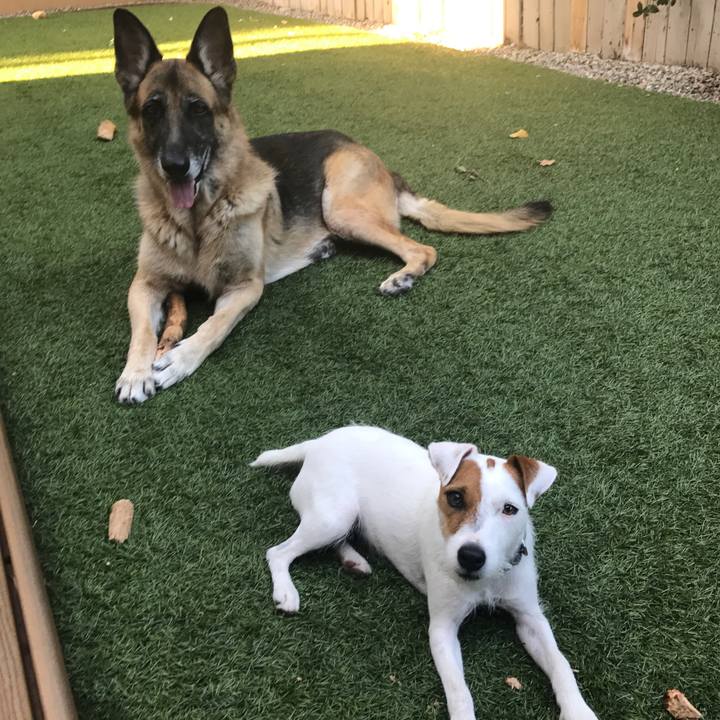 E51ac0cb b2ce 4814 808e 5b086993404c