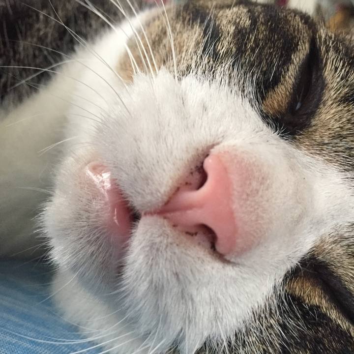 E51ba1b6 0a59 461d 9d2e 5db4cefa7059