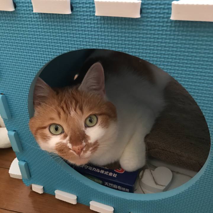 E51bd5e4 fa47 4e12 a171 49b189e38c0d