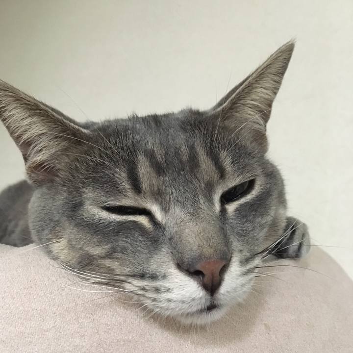 E51bff2e 4e0e 4321 b323 2ef95024baee