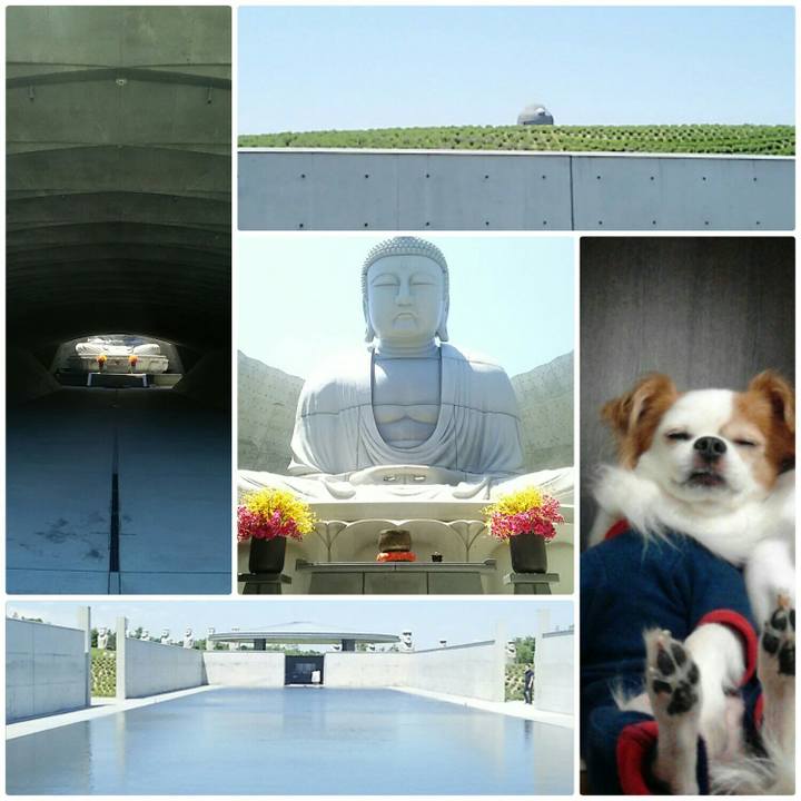 E51c4347 bf2a 447a a748 342987ce226d