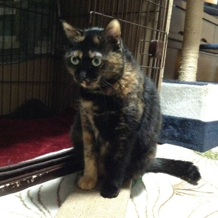 E51c43f1 5f16 49bc 9bcf 620661026efd