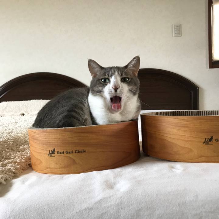 E51d1bdf 4418 45f5 b8c9 d6609bf08ce2