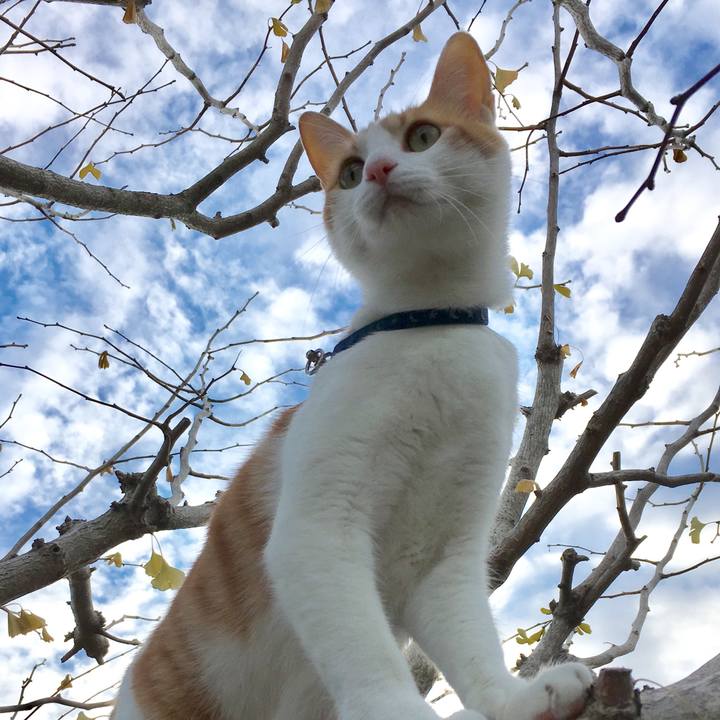 E51dc81f 20c3 44d2 ba39 9dbe1046aafc