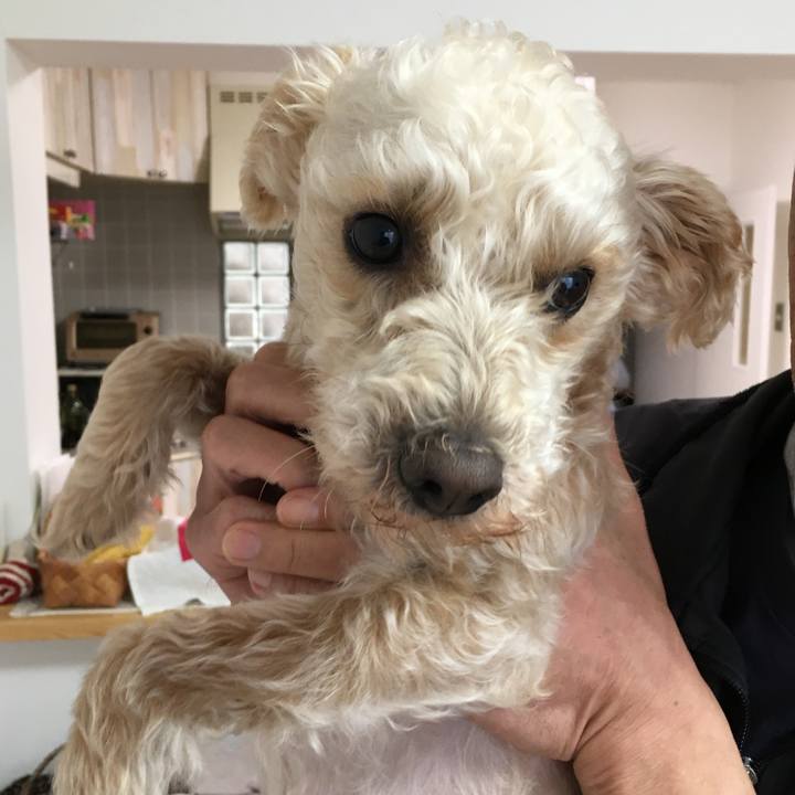 E51e4261 9cb7 4eb1 819f 2132e0226321