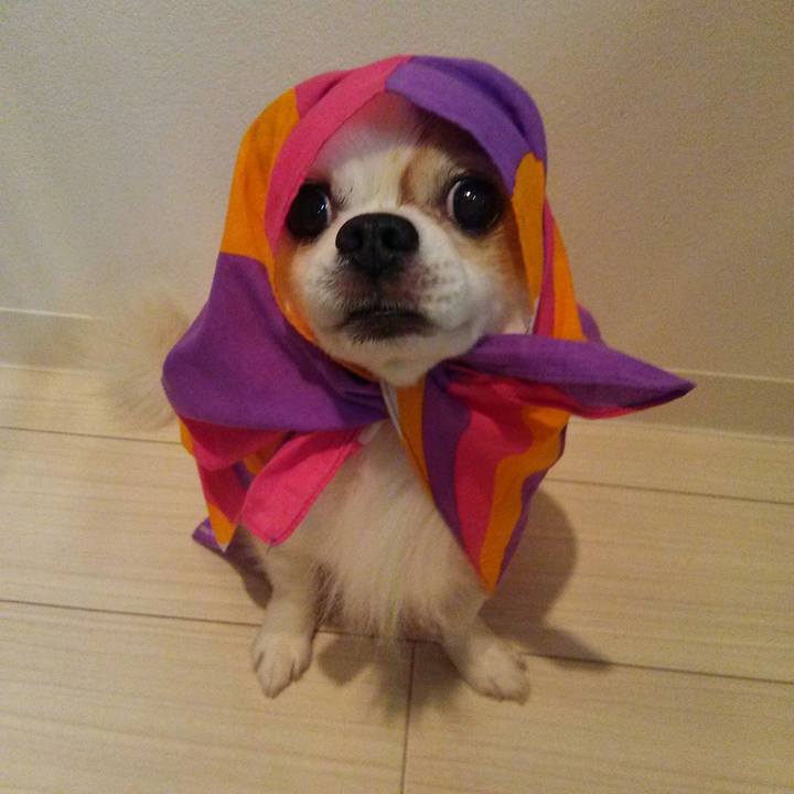 E51eb1bd 44b7 4cc7 b28d 3d15a75c338a