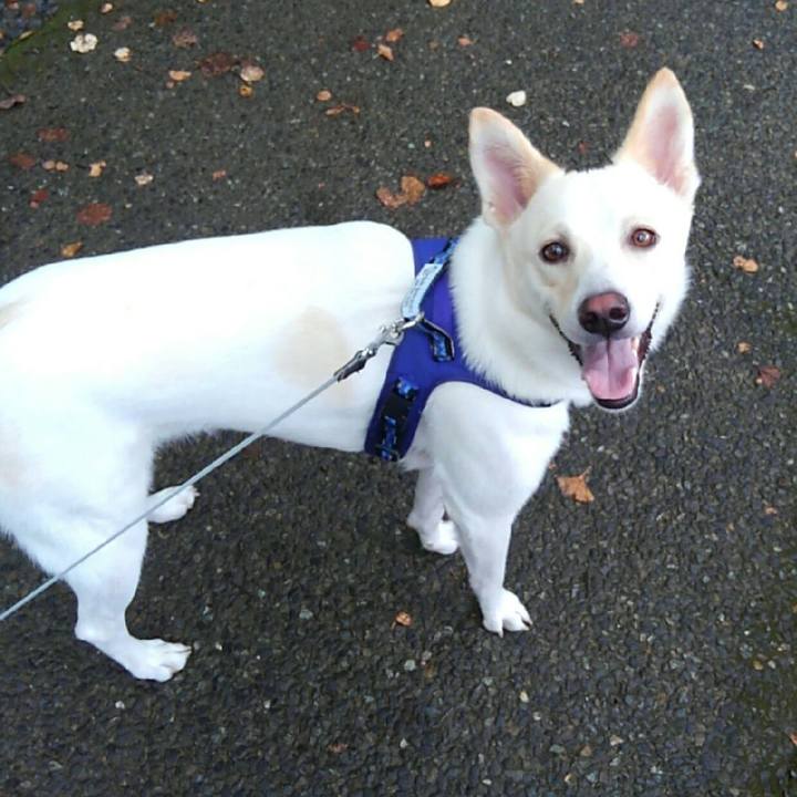 E52003de 87a0 4fbb 9c4a 173c9d9b579b