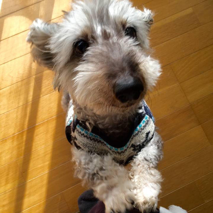 E52046f9 2c49 4565 b449 15e32b68cf72