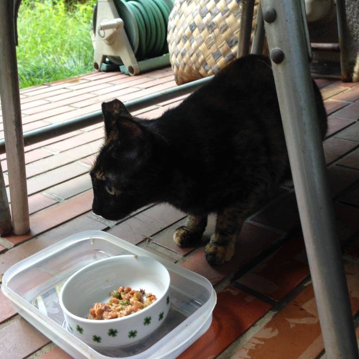 E5209d37 ad59 4ba1 8681 f6b45ec8ea43