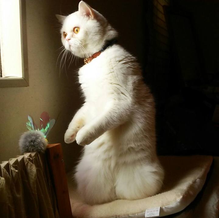 E520a3b8 efd8 4f50 8764 4b79a8183801