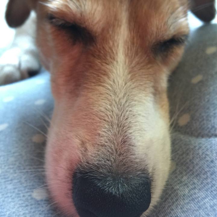 E5210b09 f709 446b bc18 a7f58414b39d