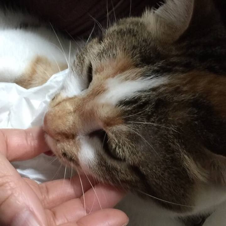 E5213eb7 5026 48b4 9e94 c59bdc276ec5