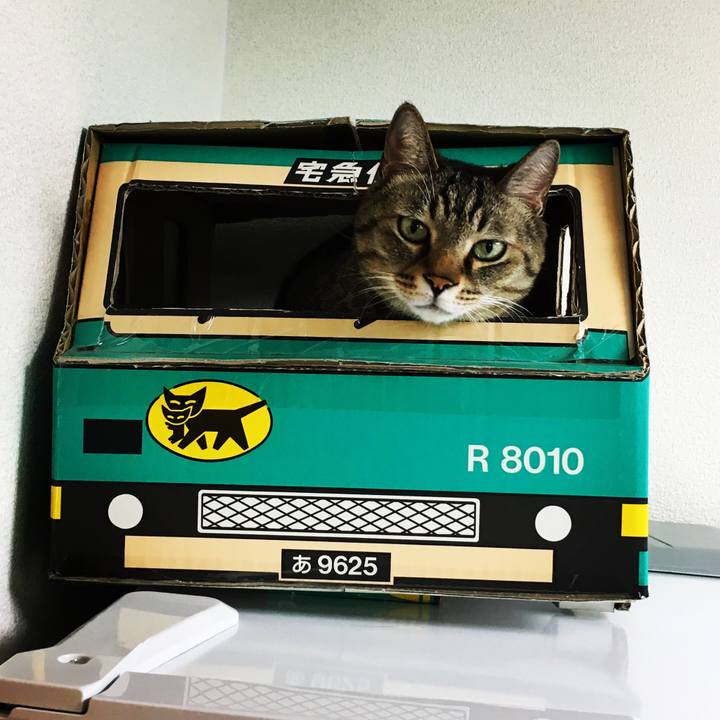 E52156ac d3f4 4a07 8e09 3b8a38e28dd8