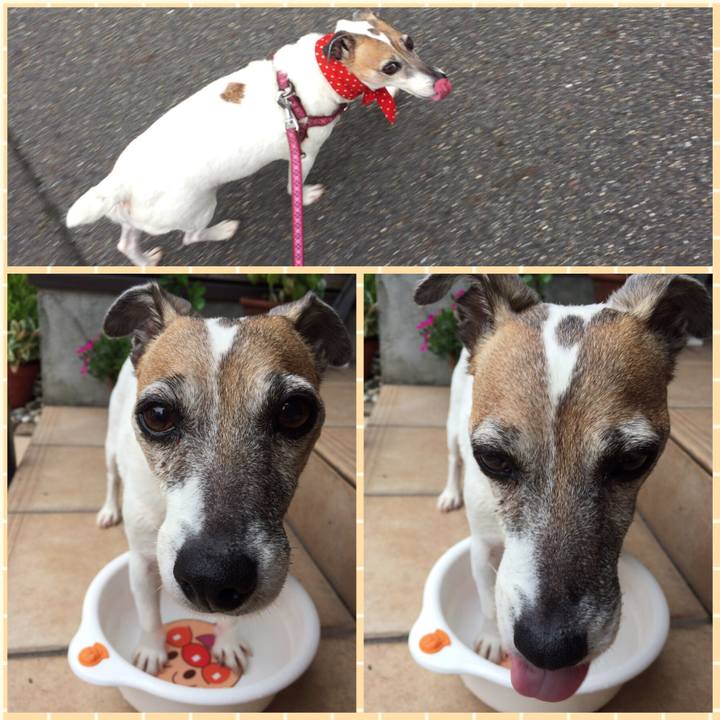 E5215f9c 9836 44fa a041 2ea4642d74b6