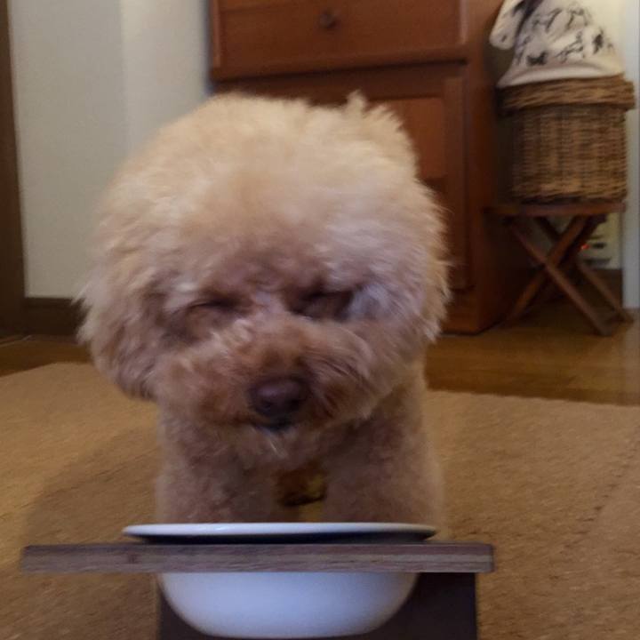 E5218e76 e746 463d 8403 1560043a027f