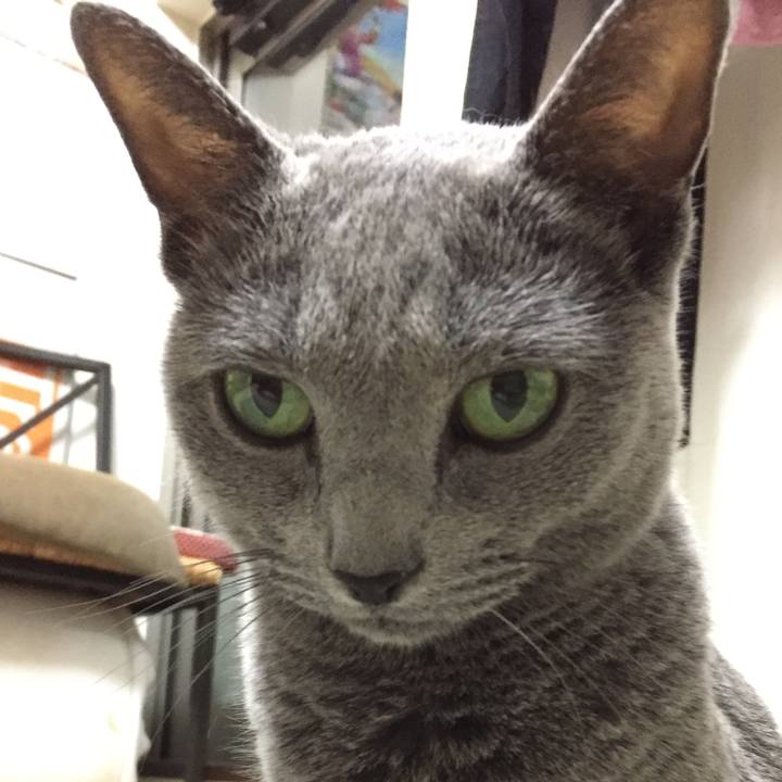 E52198b8 6dda 48bc 8b07 2aa810928c0d