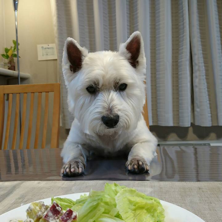 E521beec 6782 4c8c a41a ce604a24ec6d