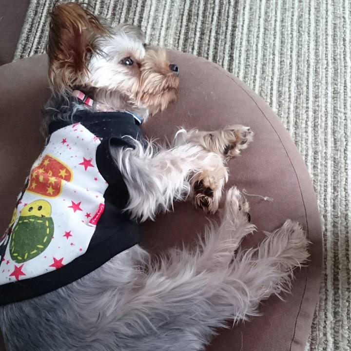 E521d594 2dc6 4b7a 8191 3b005ebb673f