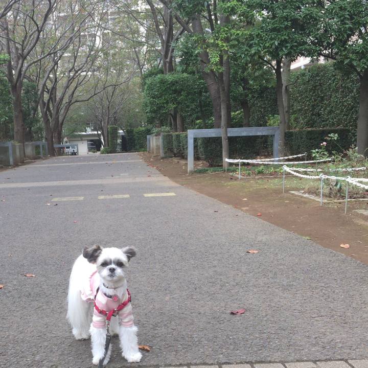 E521e2e5 7efd 4b97 9d12 cb2f3ebba01c