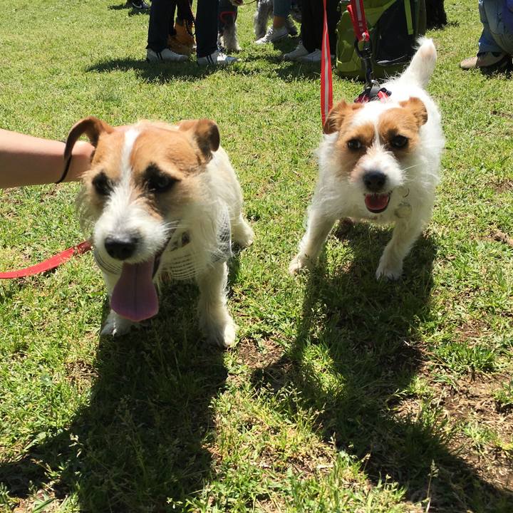 E52232ab 193f 4bc9 8190 ebffe2e13cc1