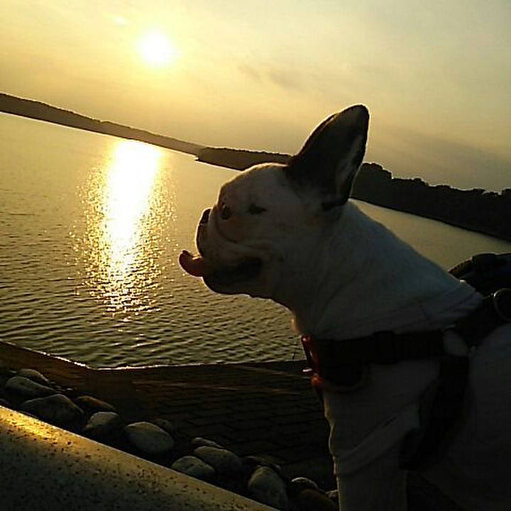 E52245ee 0933 42eb 9c00 fc15087726a6