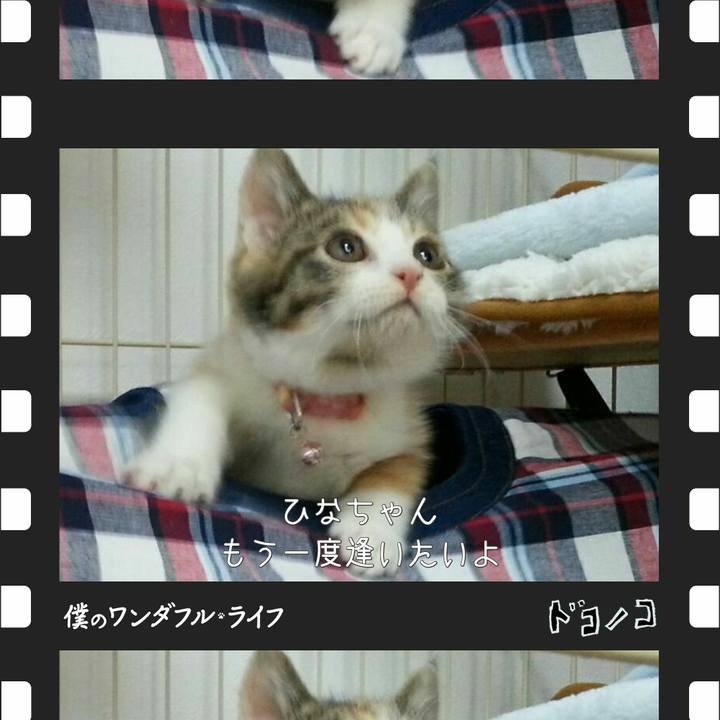 E5231b84 bc44 4a59 87b6 b16e12f17ff1