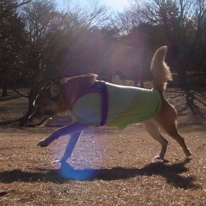 E5231c2b 1f47 44f6 bfa2 ab014d283be6