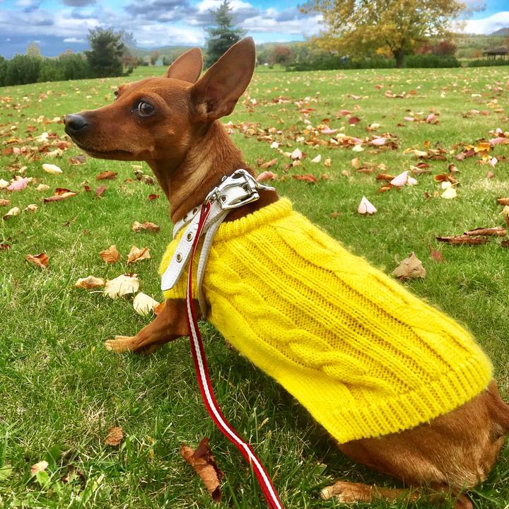 E5236c45 c8e3 45a6 b47b d92c8c898d3f