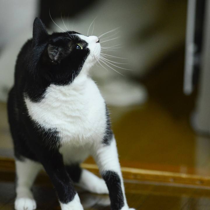 E5239546 c8b1 4261 84f5 9d91b8201bd6