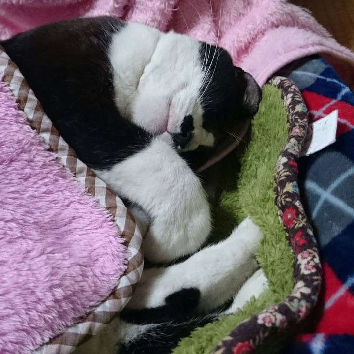 E523d675 2aaf 4990 9932 36ee6754da53